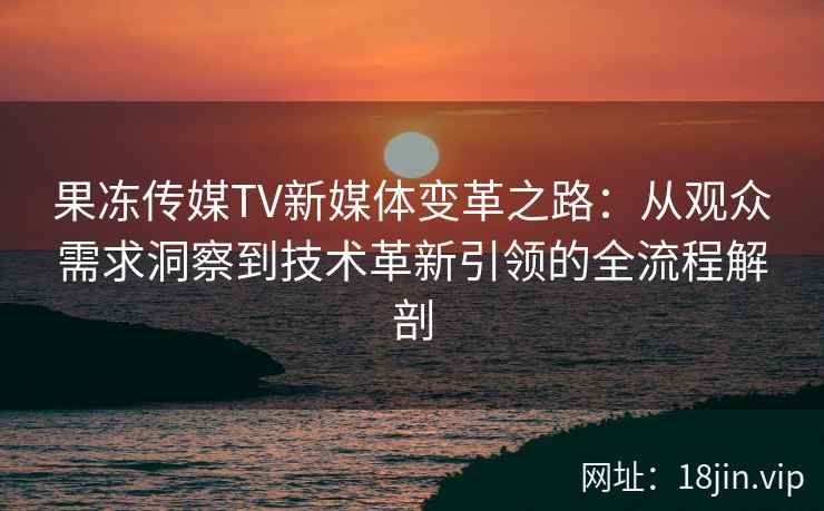 果冻传媒TV新媒体变革之路：从观众需求洞察到技术革新引领的全流程解剖