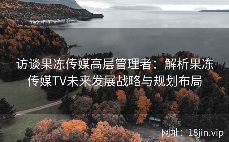访谈果冻传媒高层管理者：解析果冻传媒TV未来发展战略与规划布局
