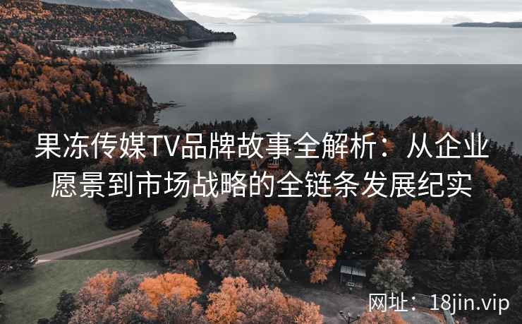 果冻传媒TV品牌故事全解析：从企业愿景到市场战略的全链条发展纪实